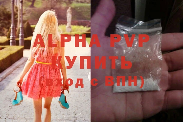 дмт Богданович